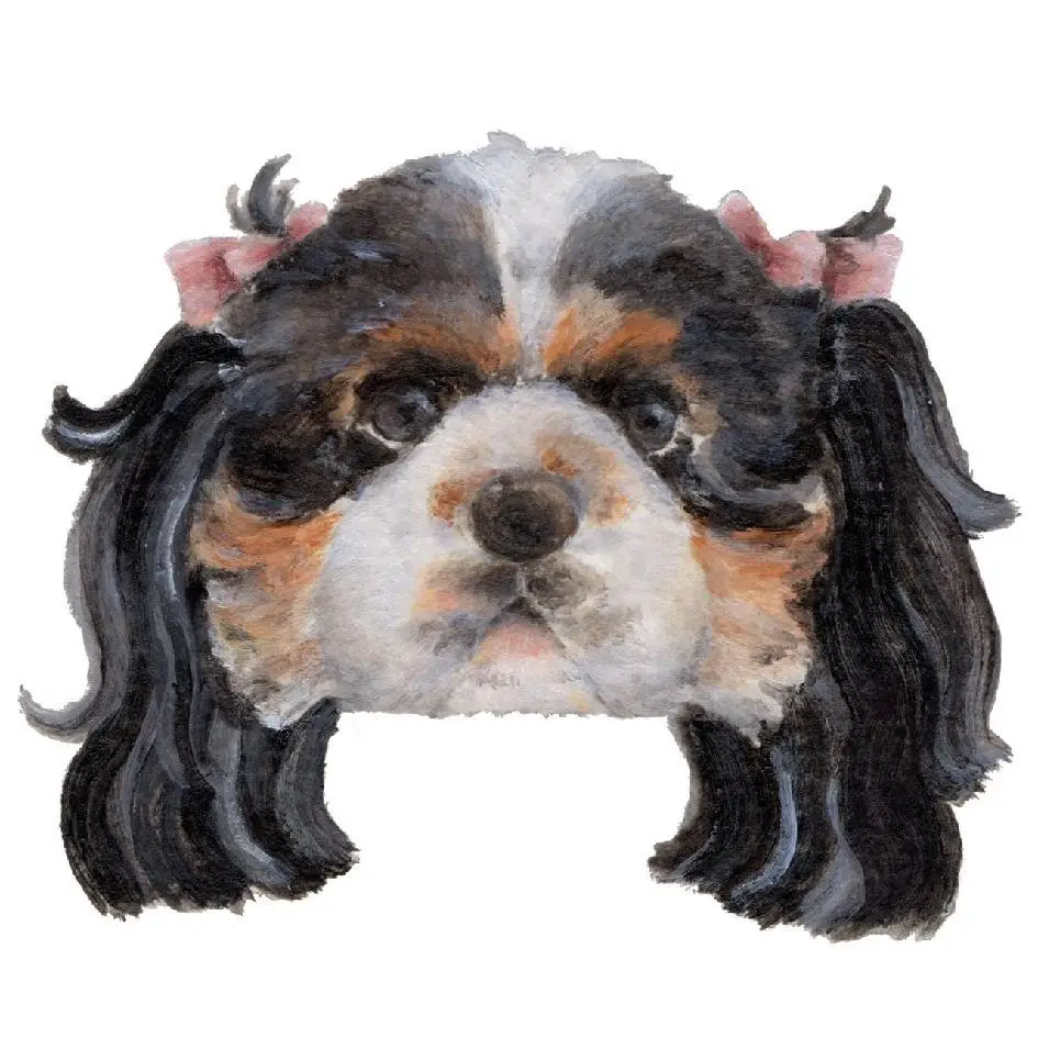 puppy